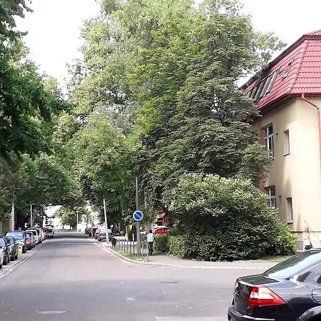 Kodaly