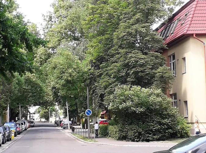 Kodály